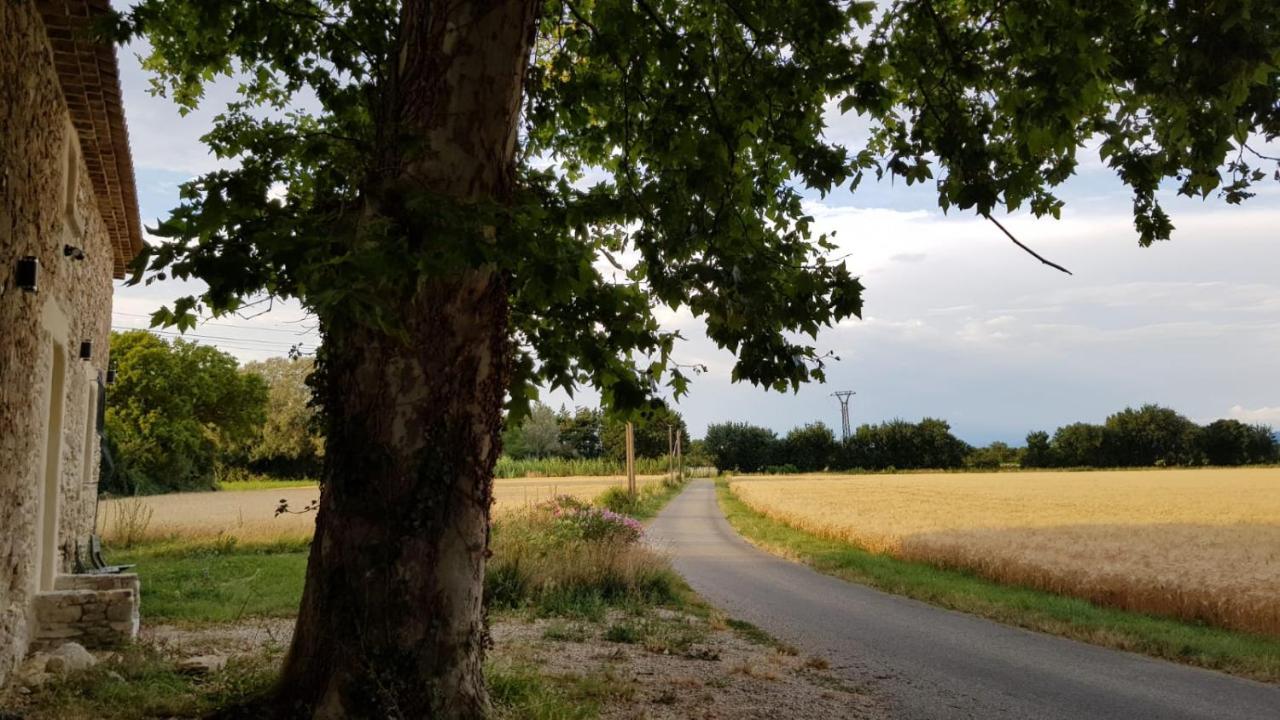 Maison Au Calme En Campagne Climatisee Caderousse 外观 照片