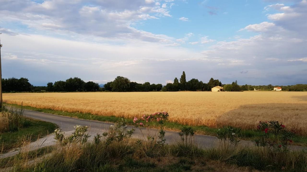 Maison Au Calme En Campagne Climatisee Caderousse 外观 照片